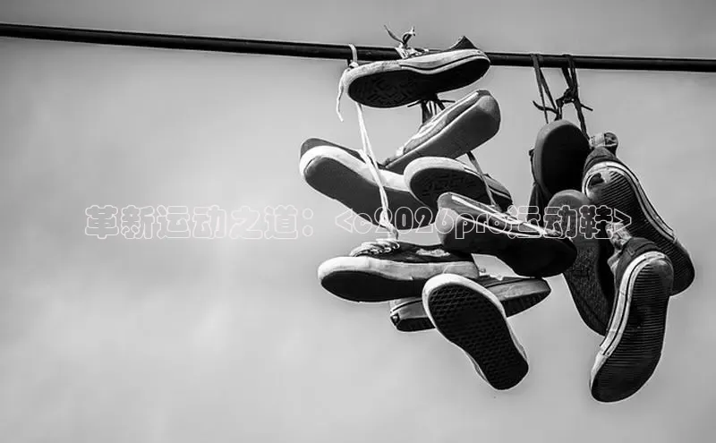 革新运动之道：<c2026pro运动鞋>